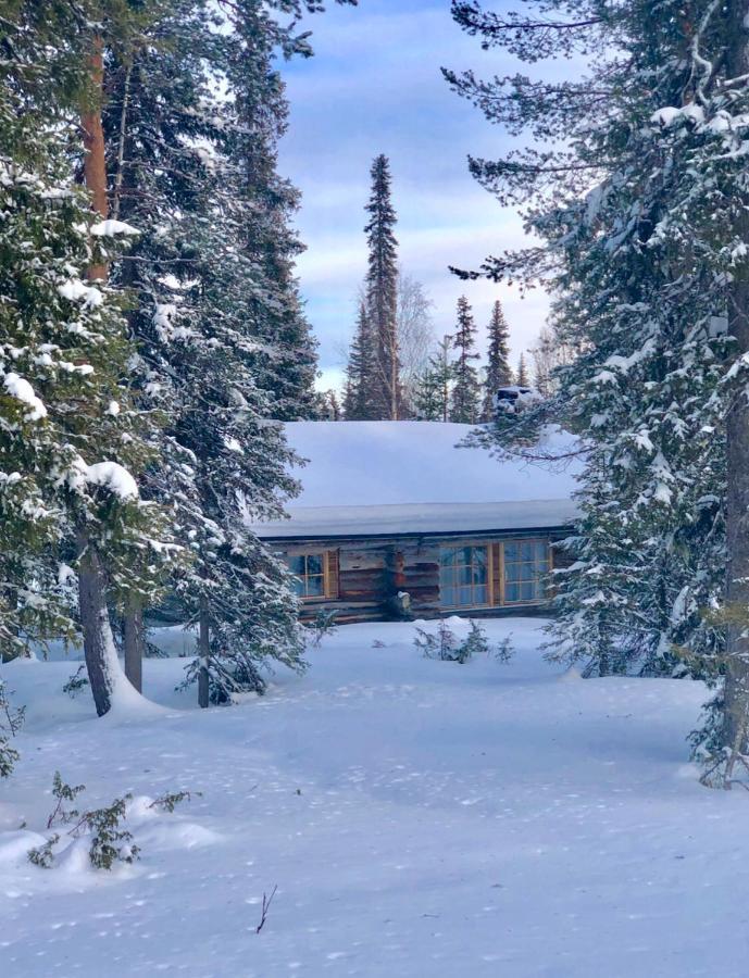 Villa Karhunkehto Луосто Экстерьер фото